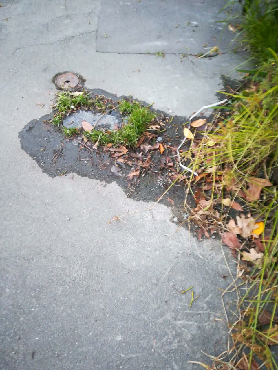 The photograph attached to this water supply report