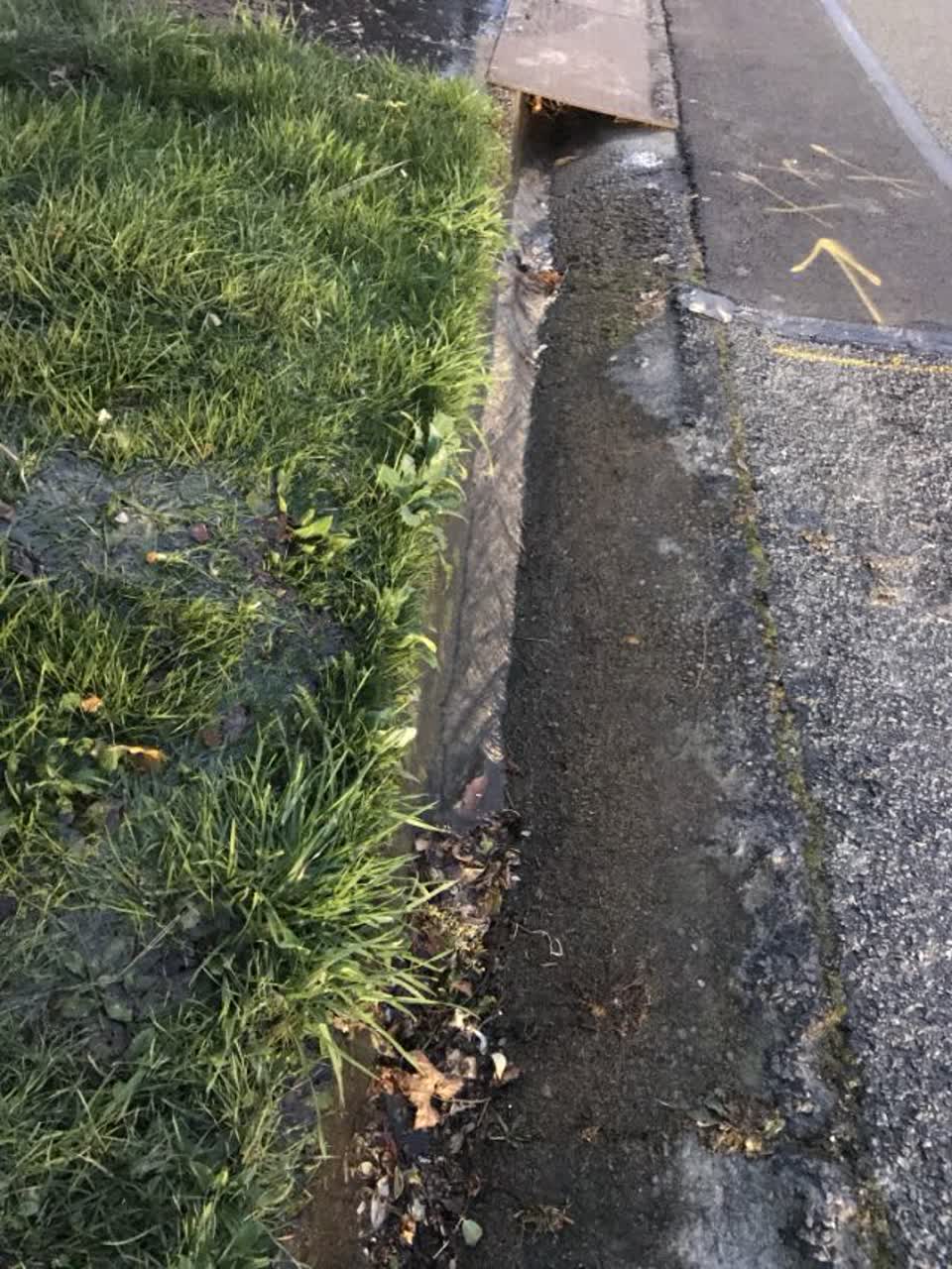 The photograph attached to this flooding report