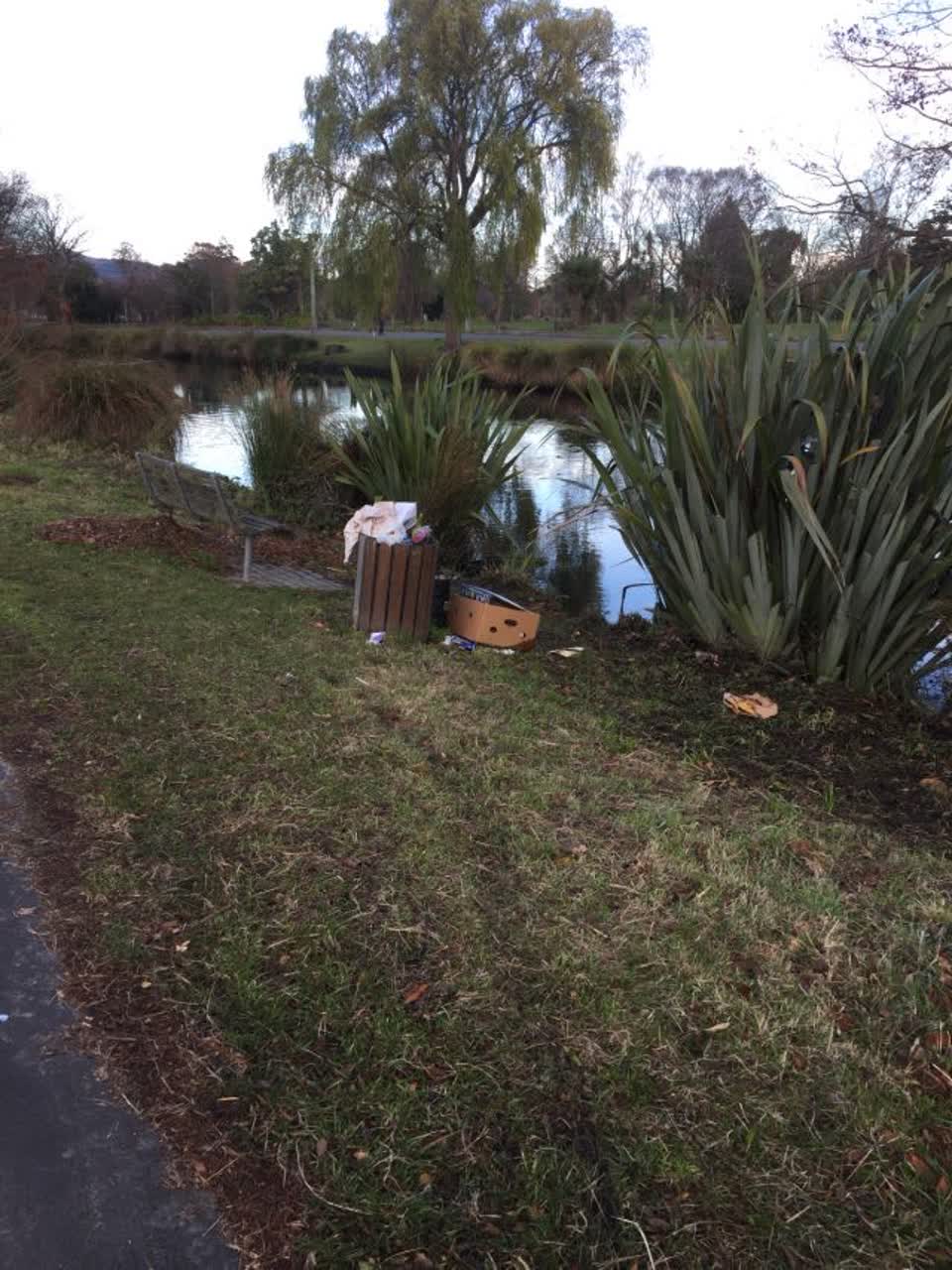 The photograph attached to this rubbish/recycling report