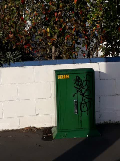 Graffiti, a report photo
