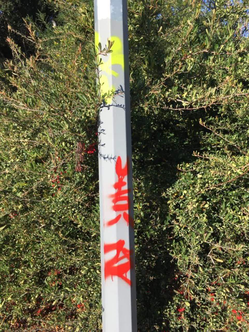 The photograph attached to this graffiti report