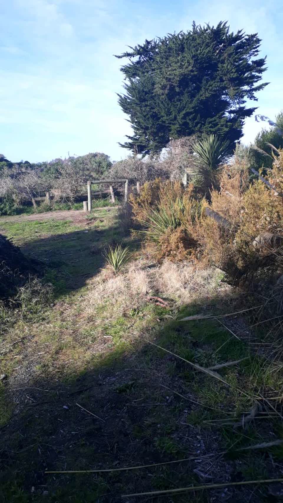 The photograph attached to this parks report