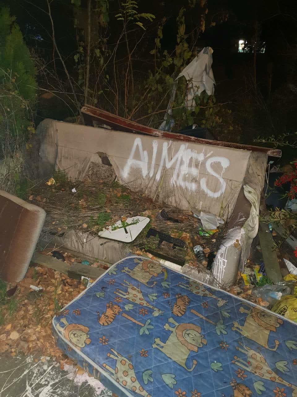 The photograph attached to this rubbish/recycling report
