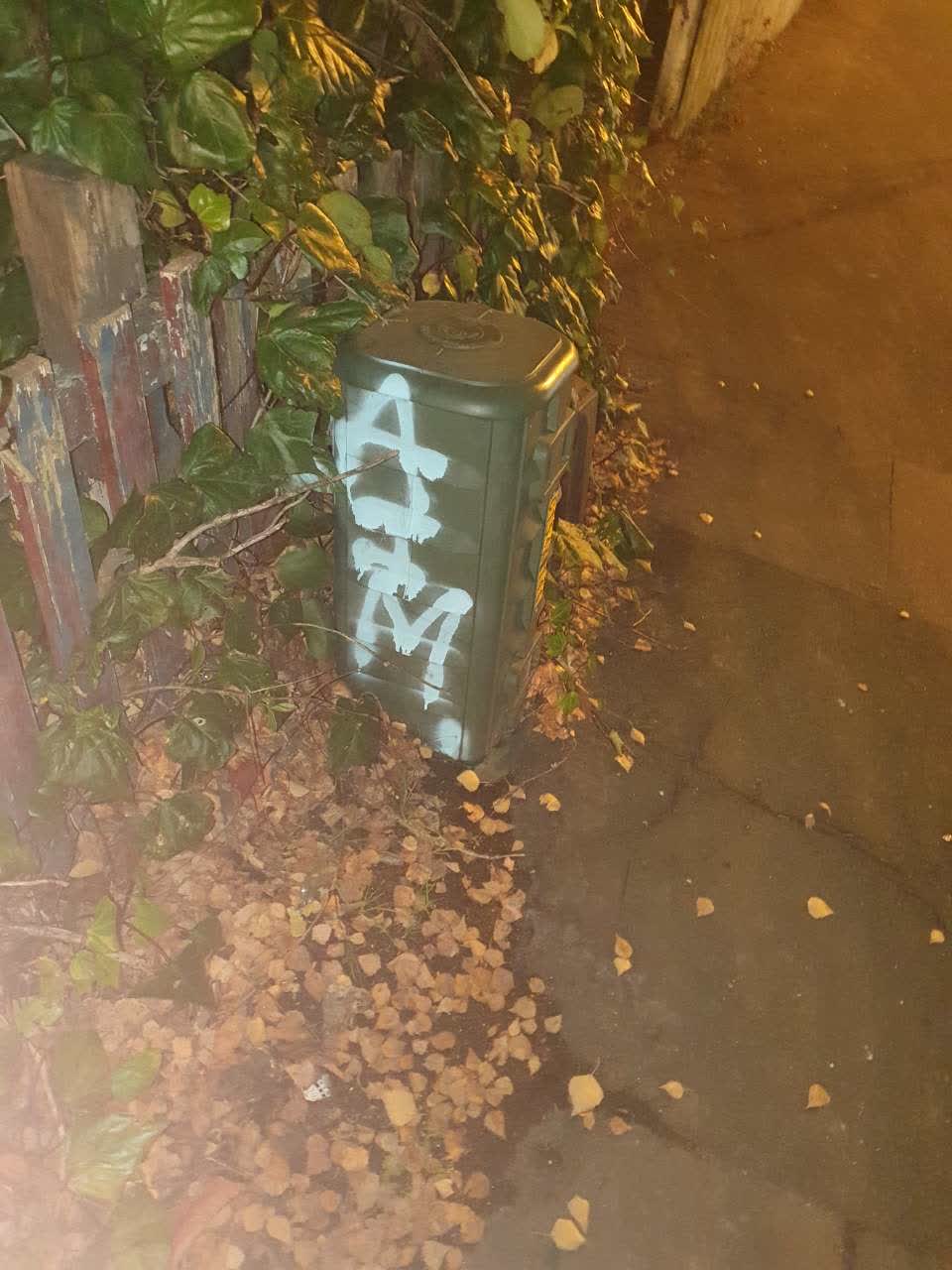The photograph attached to this graffiti report