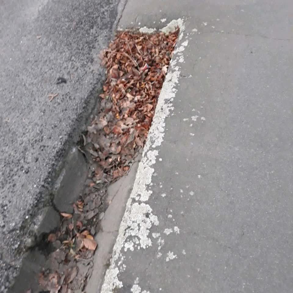 The photograph attached to this wastewater/stormwater report