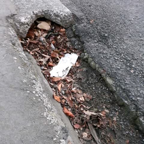 Wastewater/Stormwater, a report photo