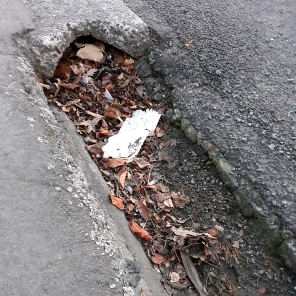 The photograph attached to this wastewater/stormwater report