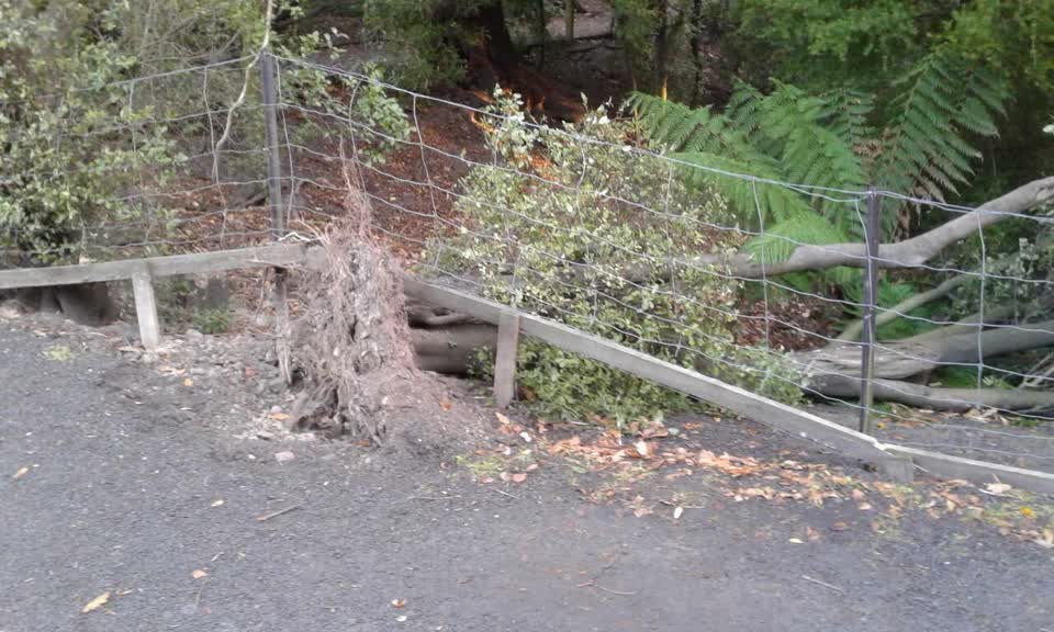 The photograph attached to this parks report