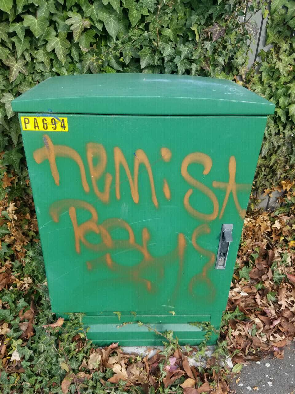 The photograph attached to this graffiti report