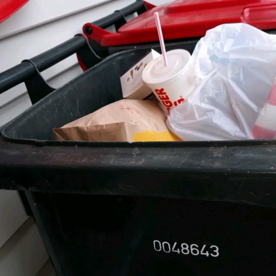 The photograph attached to this rubbish/recycling report