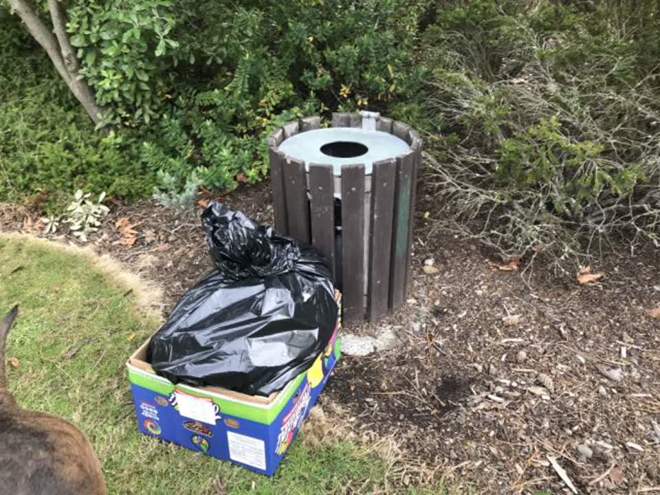 The photograph attached to this parks report