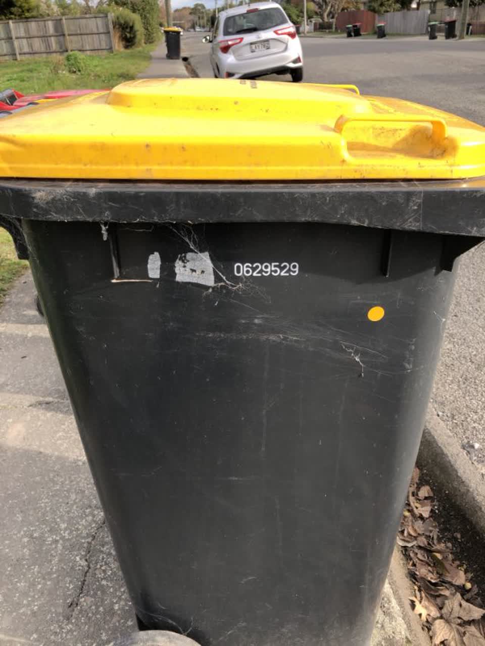 The photograph attached to this rubbish/recycling report