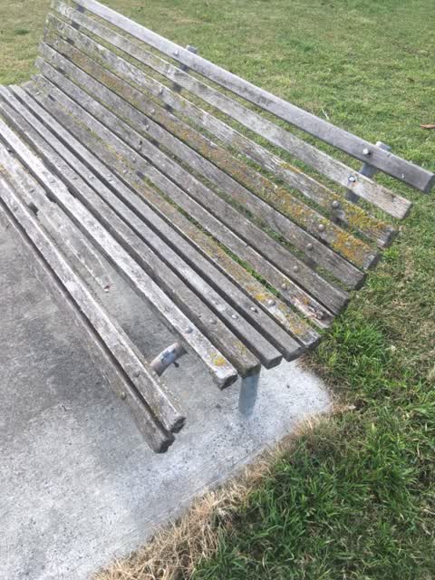 Parks, a report photo