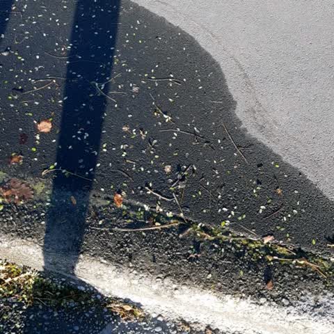 Water Supply, a report photo
