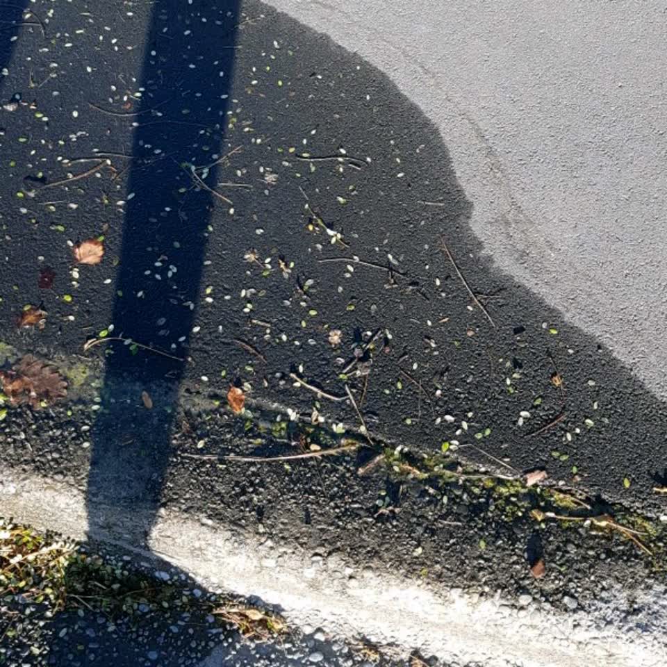 The photograph attached to this water supply report
