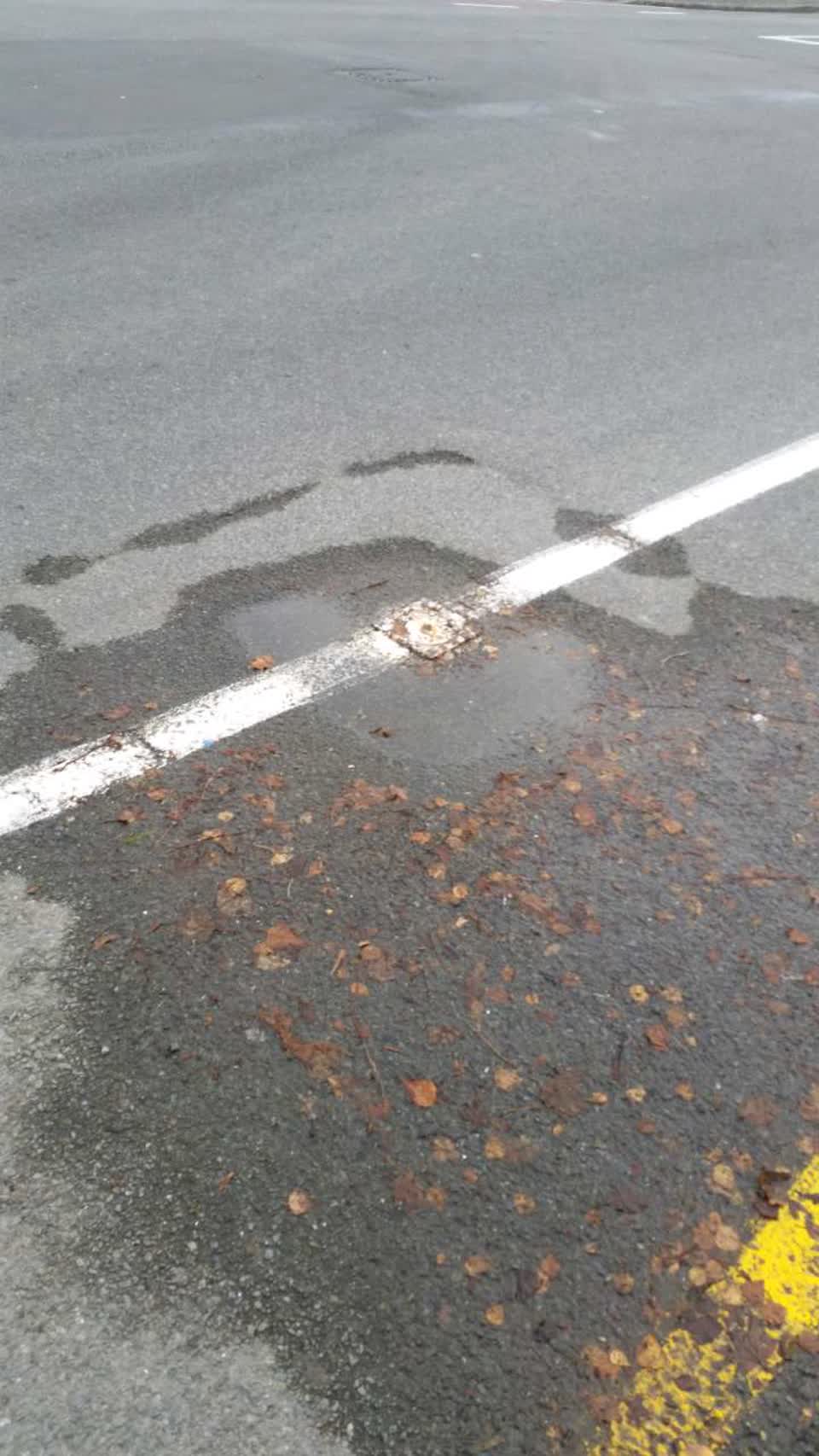 The photograph attached to this water supply report