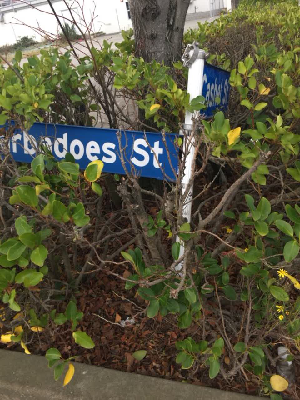 The photograph attached to this roading/streets report