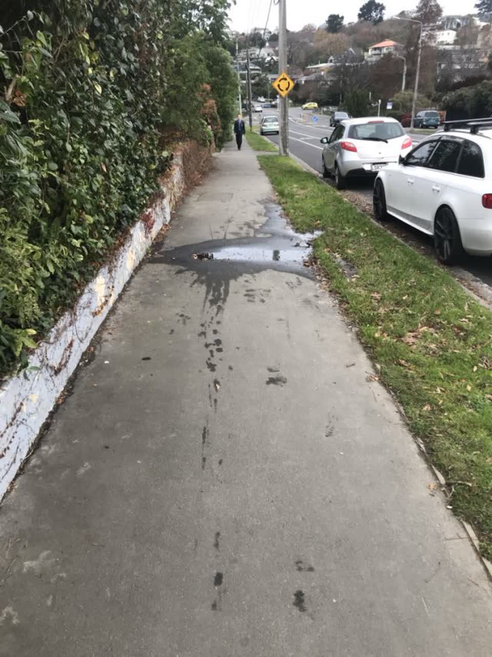 The photograph attached to this water supply report