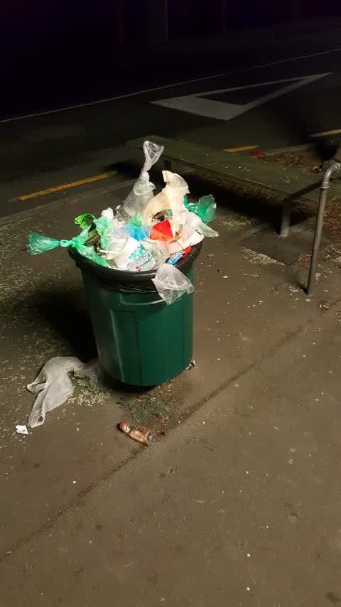 Rubbish/Recycling, a report photo