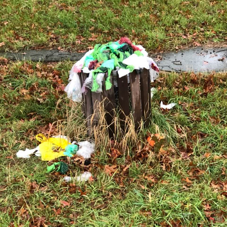 The photograph attached to this rubbish/recycling report