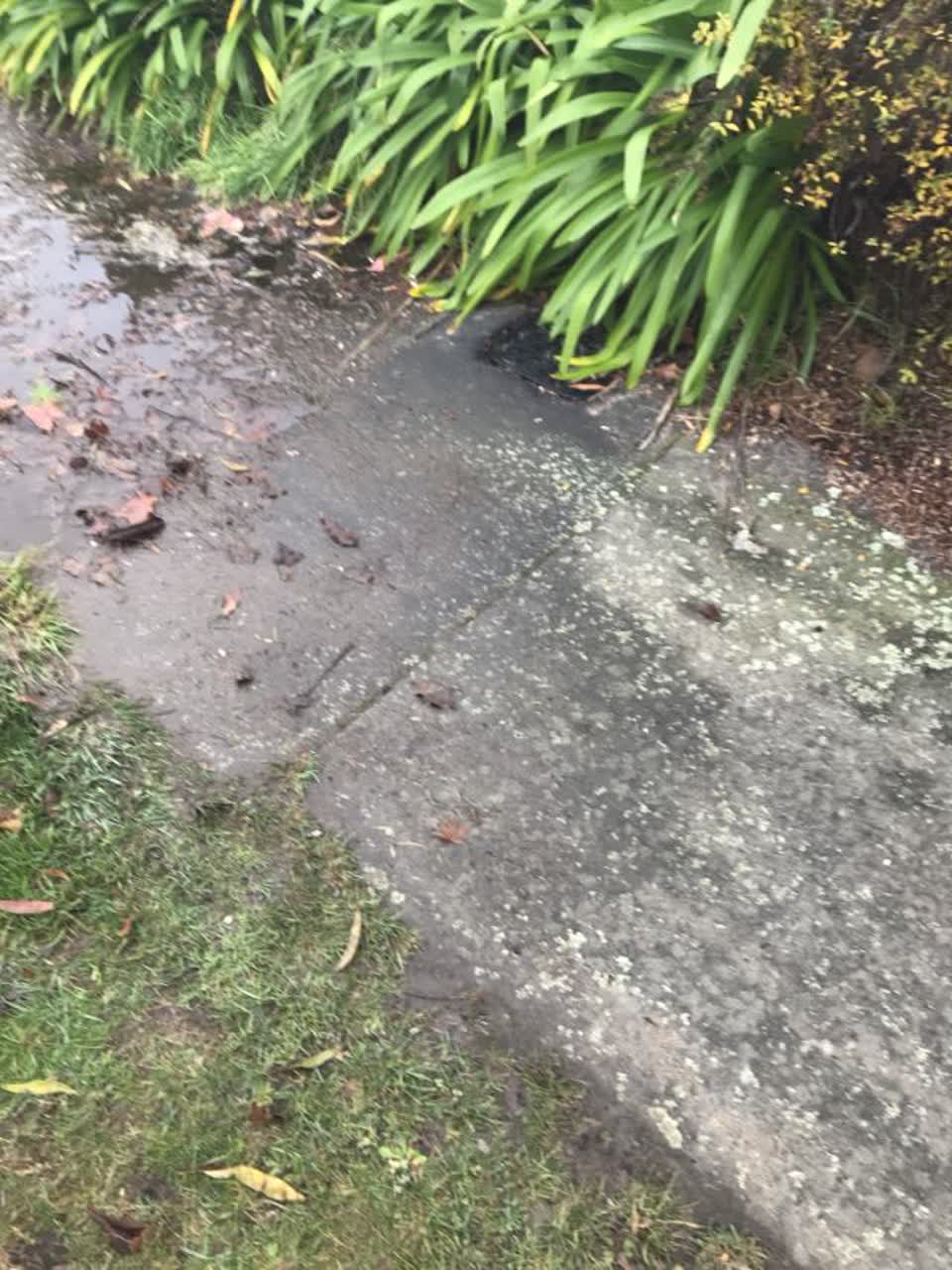 The photograph attached to this flooding report