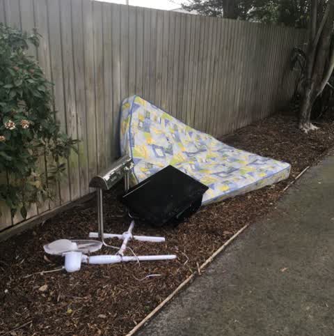 Parks, a report photo