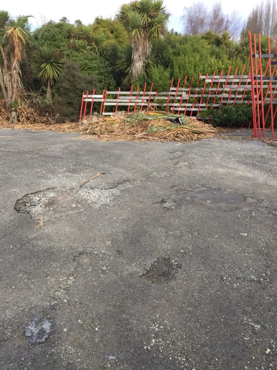 The photograph attached to this parks report