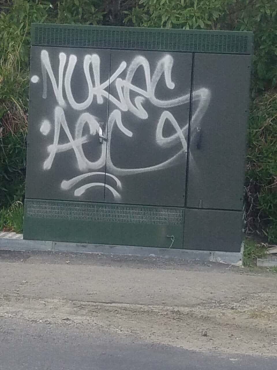 The photograph attached to this graffiti report