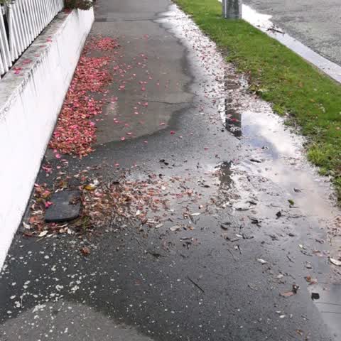 Roading/Streets, a report photo