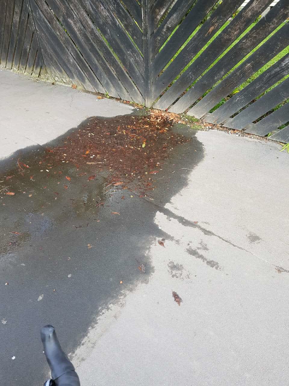 The photograph attached to this water supply report
