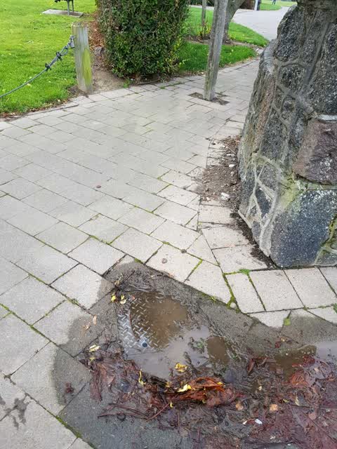 Water Supply — a report photo