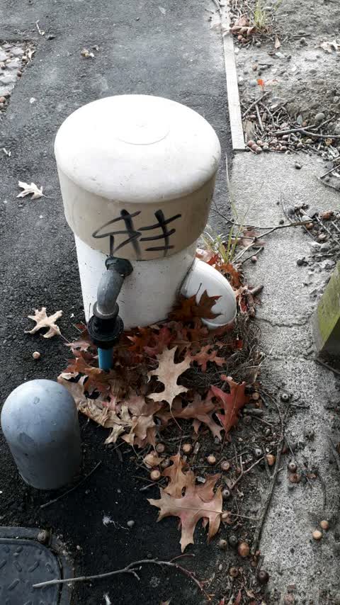 Graffiti, a report photo