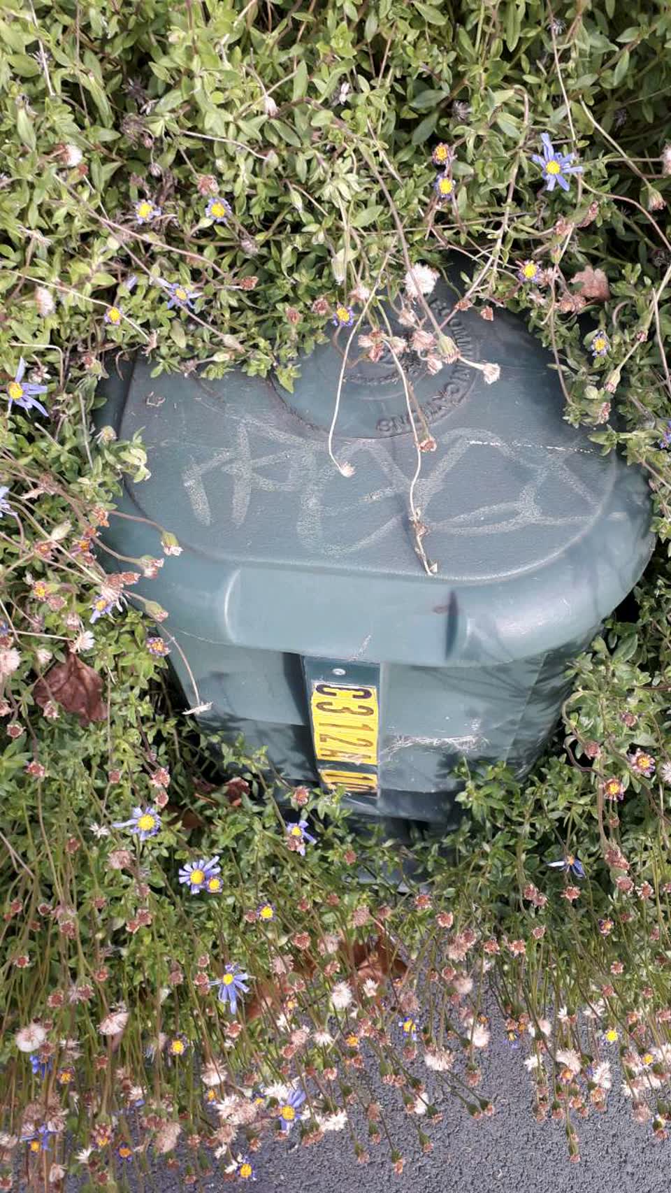 The photograph attached to this graffiti report