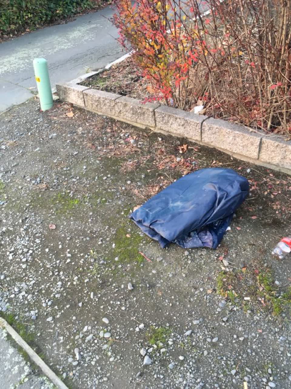 The photograph attached to this rubbish/recycling report