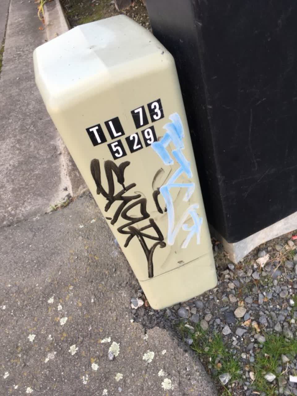 The photograph attached to this graffiti report