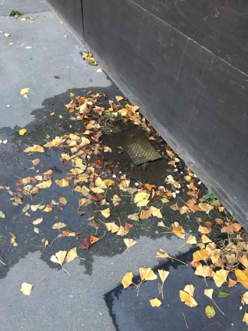 The photograph attached to this water supply report