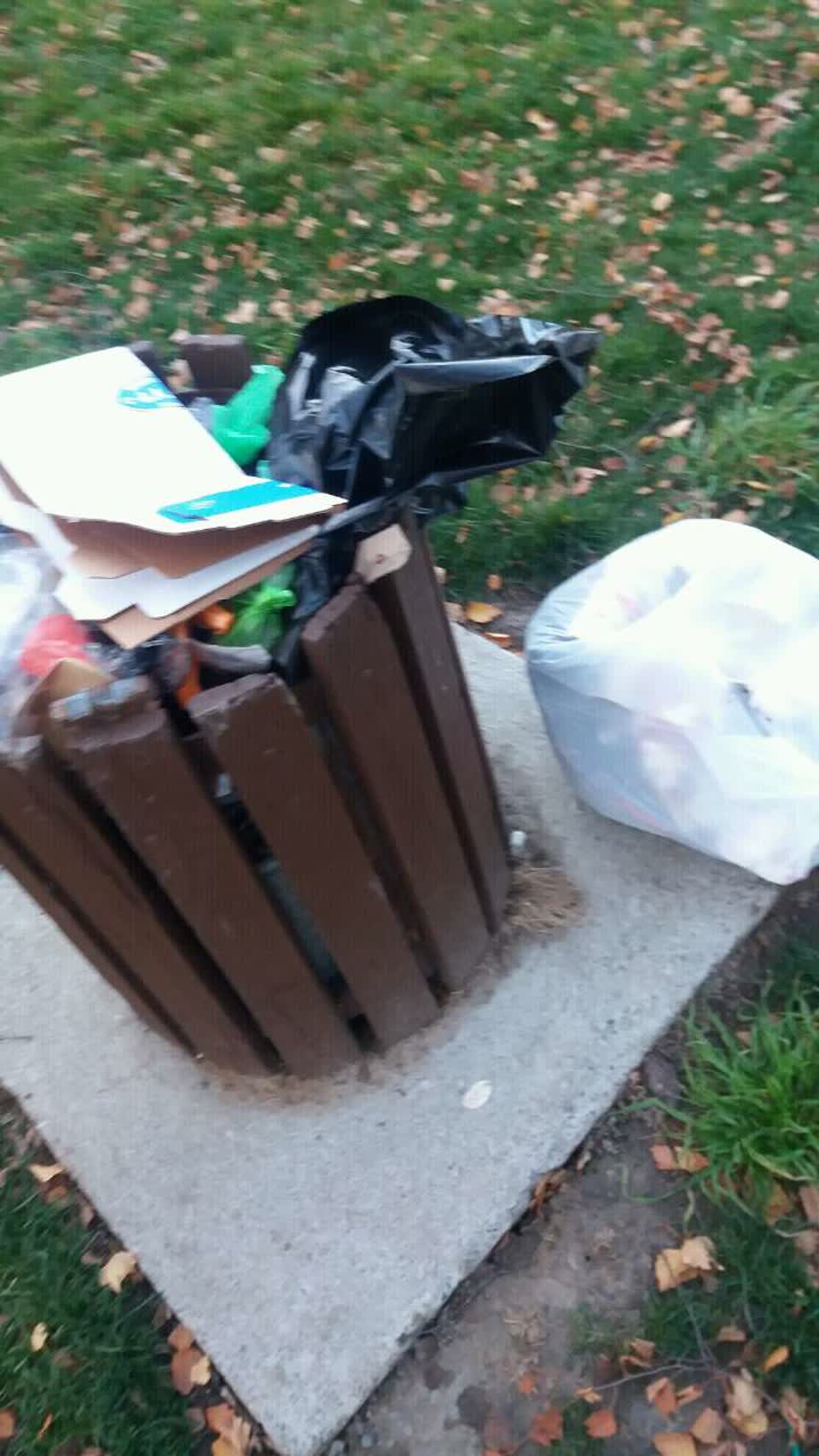 The photograph attached to this rubbish/recycling report