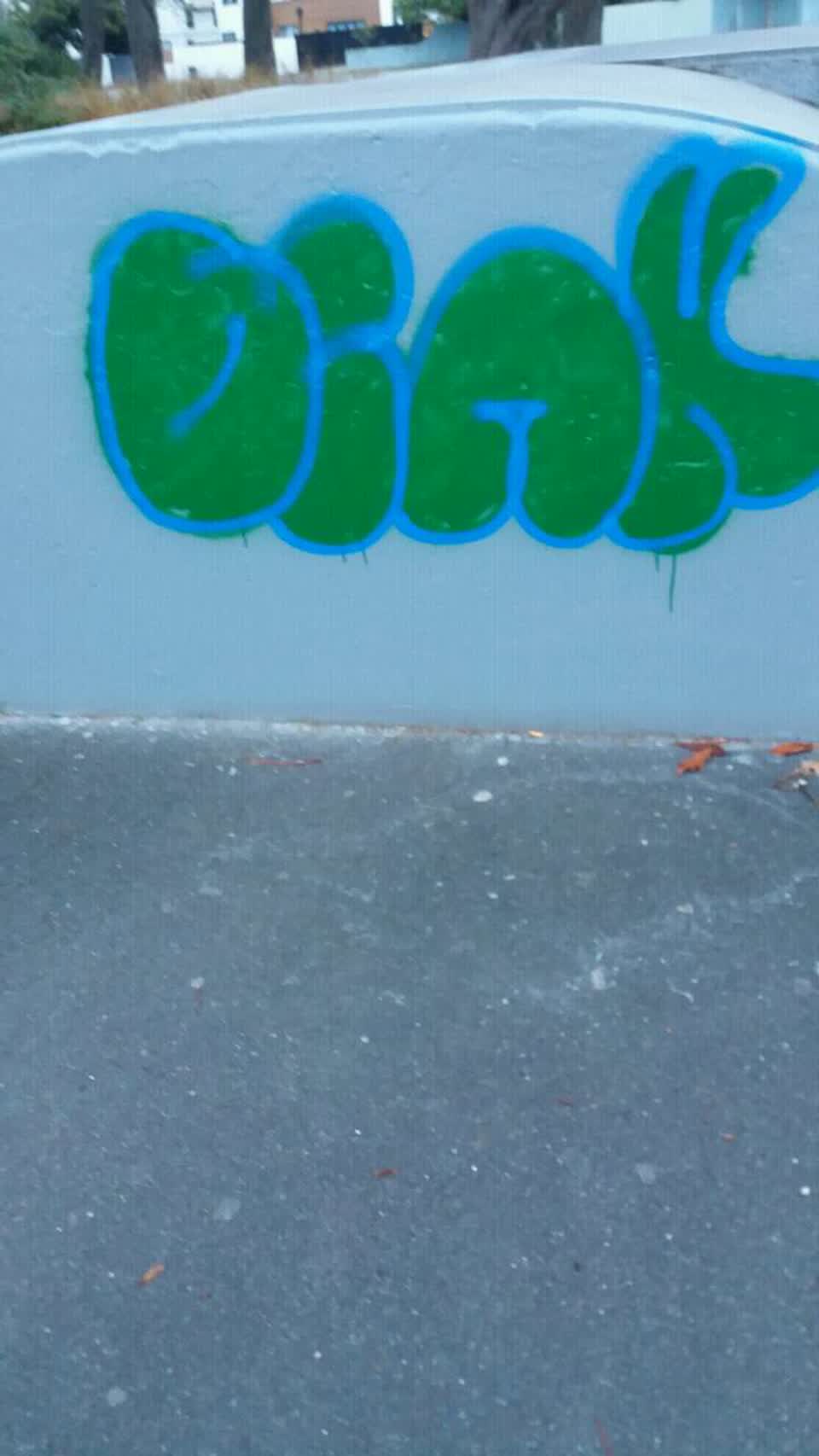 The photograph attached to this graffiti report