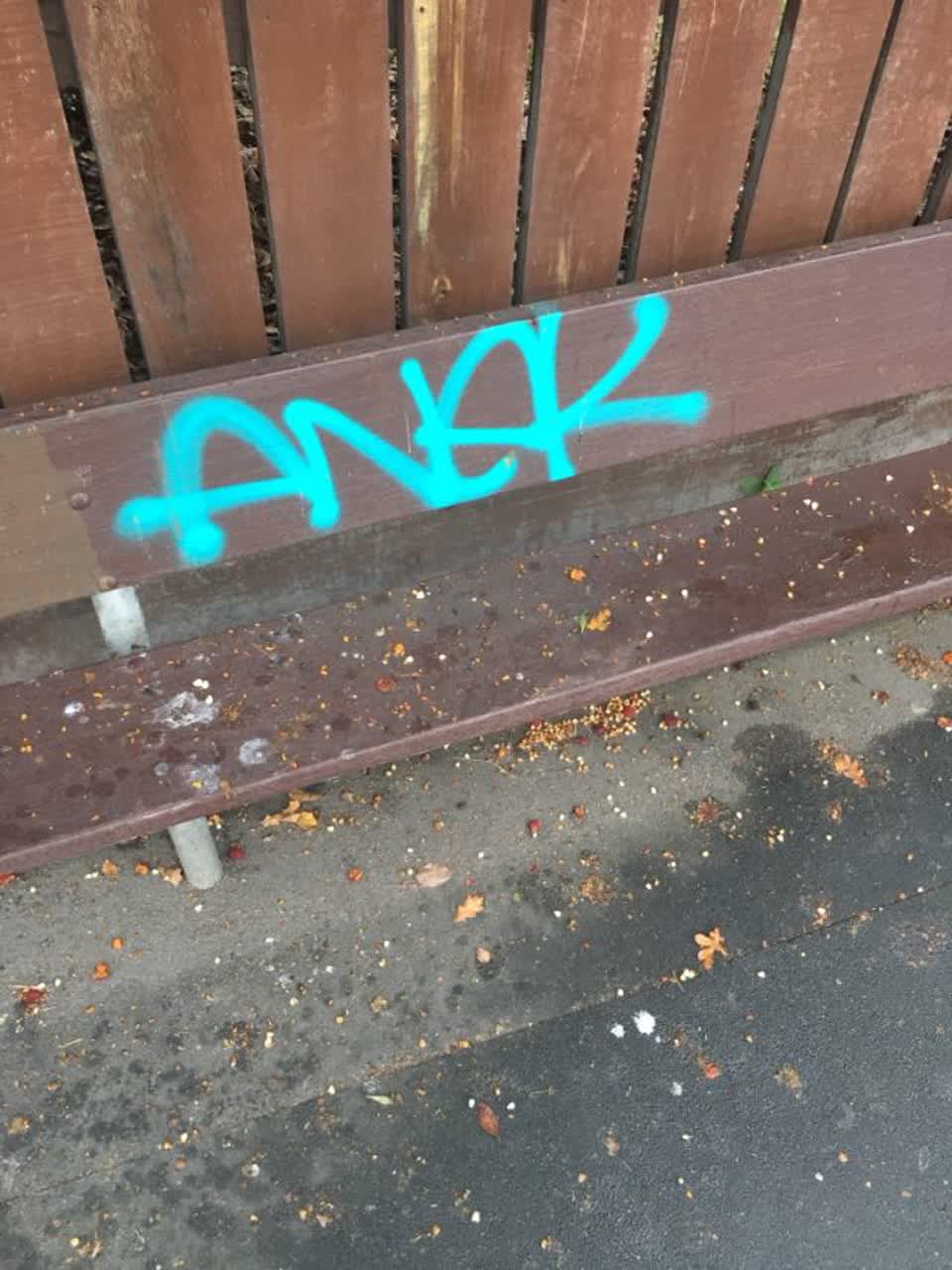The photograph attached to this graffiti report