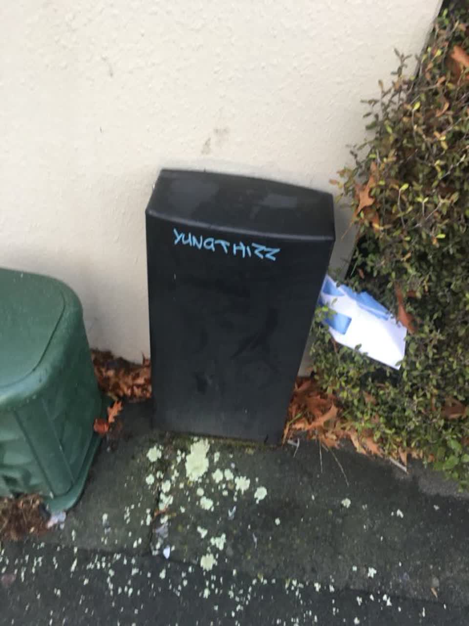 The photograph attached to this graffiti report