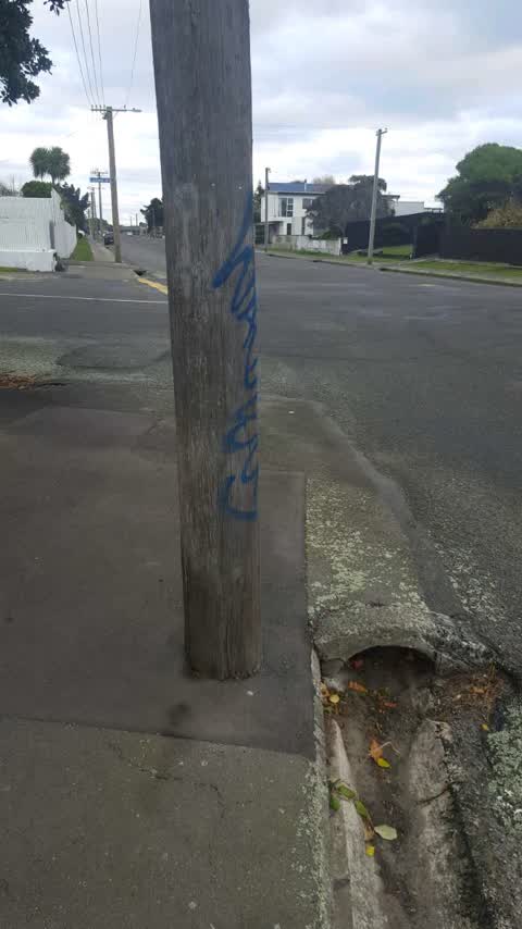 Graffiti, a report photo