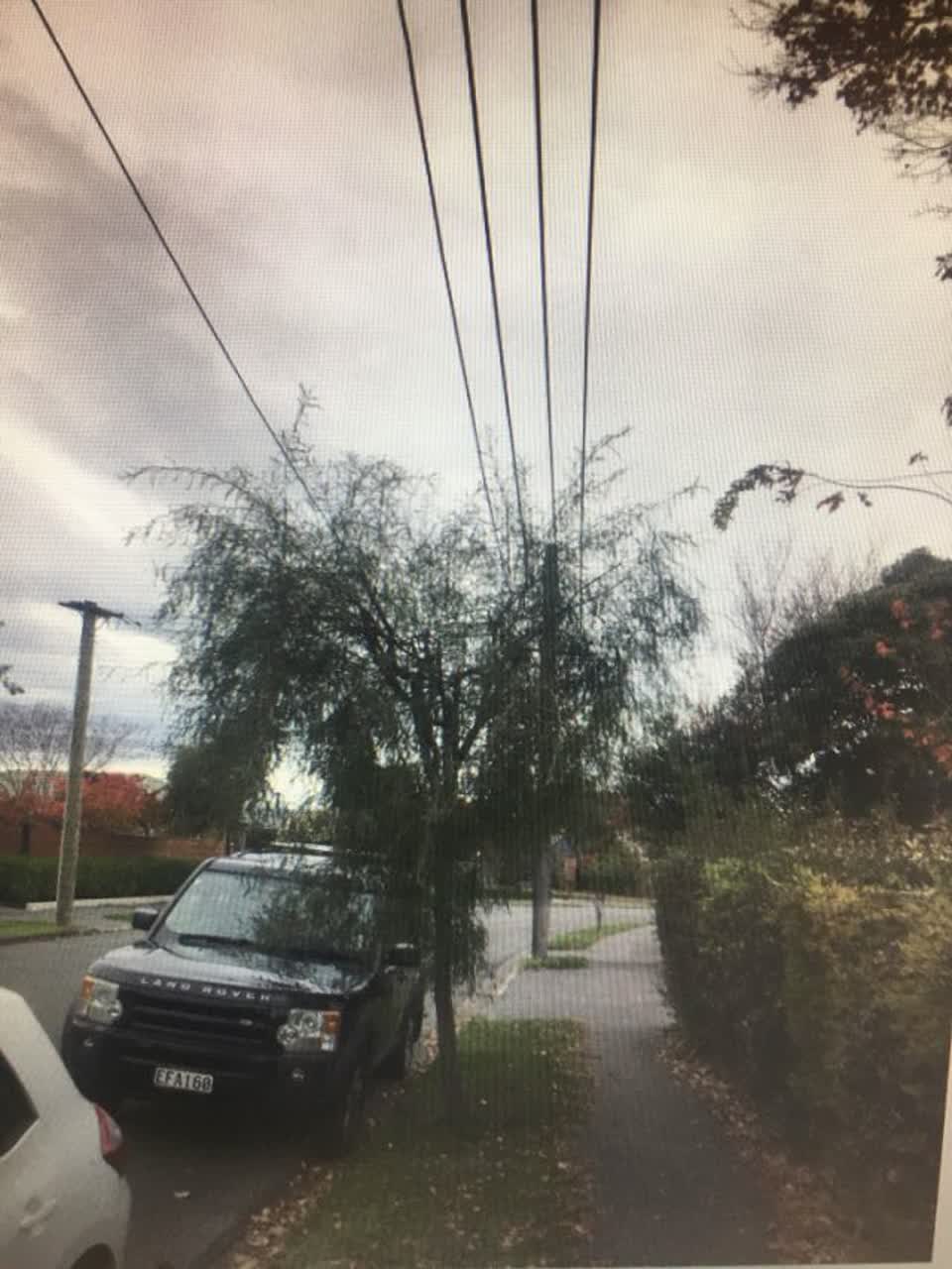 The photograph attached to this parks report