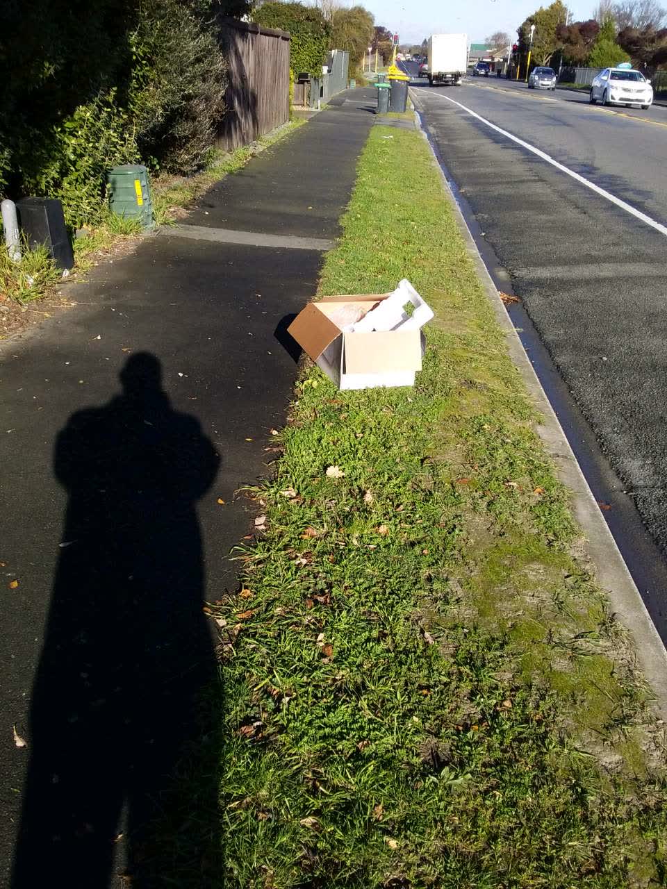 The photograph attached to this rubbish/recycling report