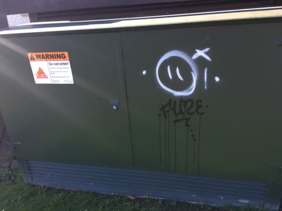The photograph attached to this graffiti report