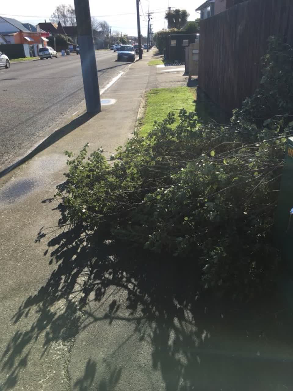 The photograph attached to this roading/streets report