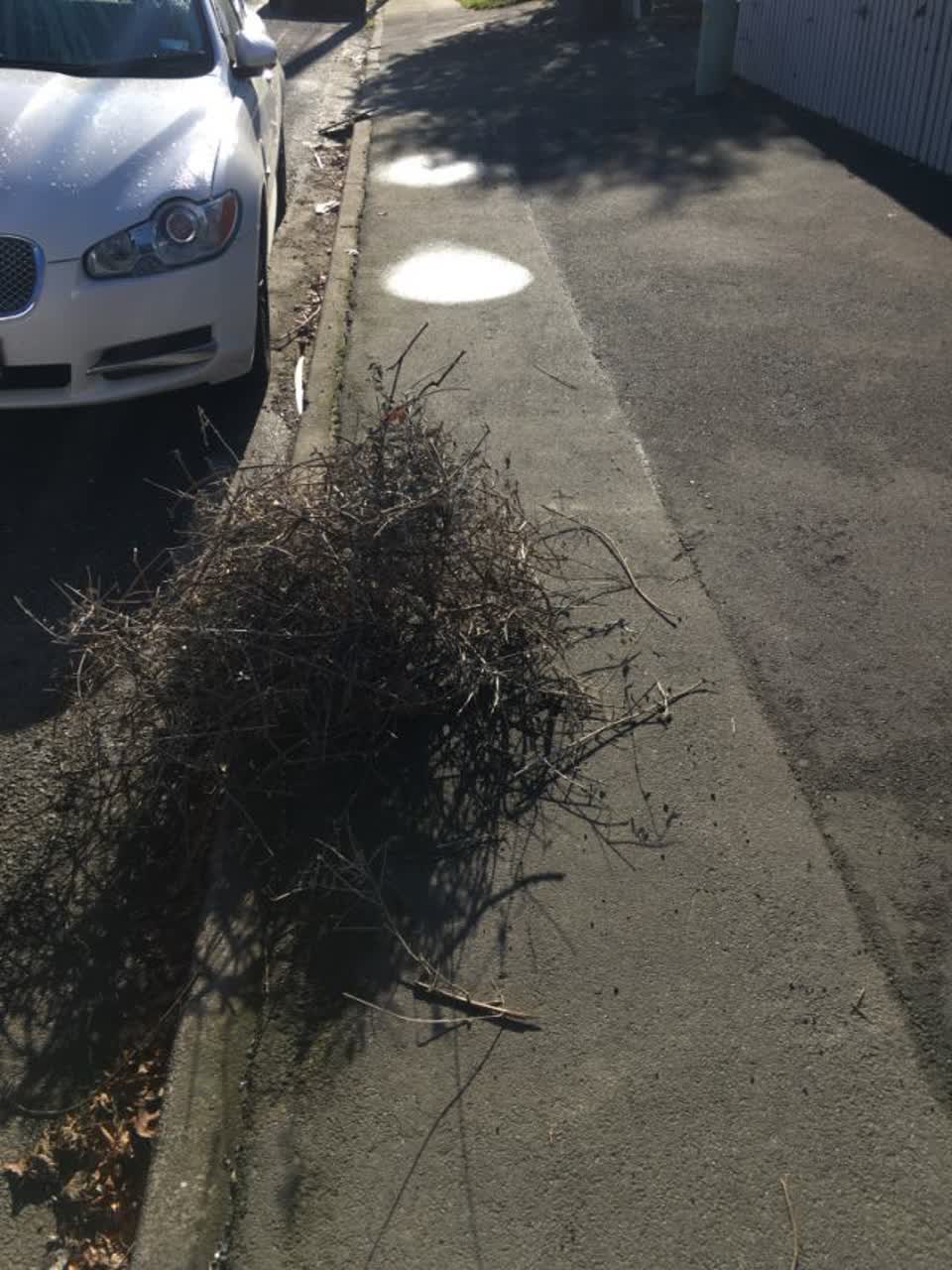 The photograph attached to this rubbish/recycling report