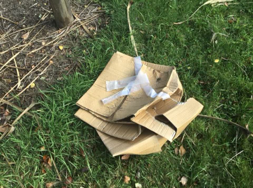 The photograph attached to this rubbish/recycling report