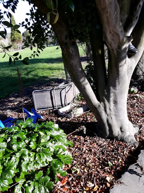 Rubbish/Recycling, a report photo