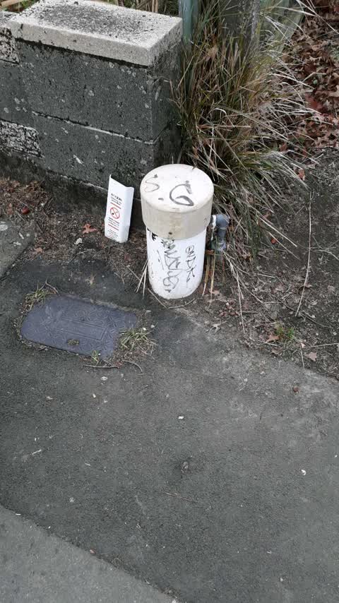 Graffiti, a report photo
