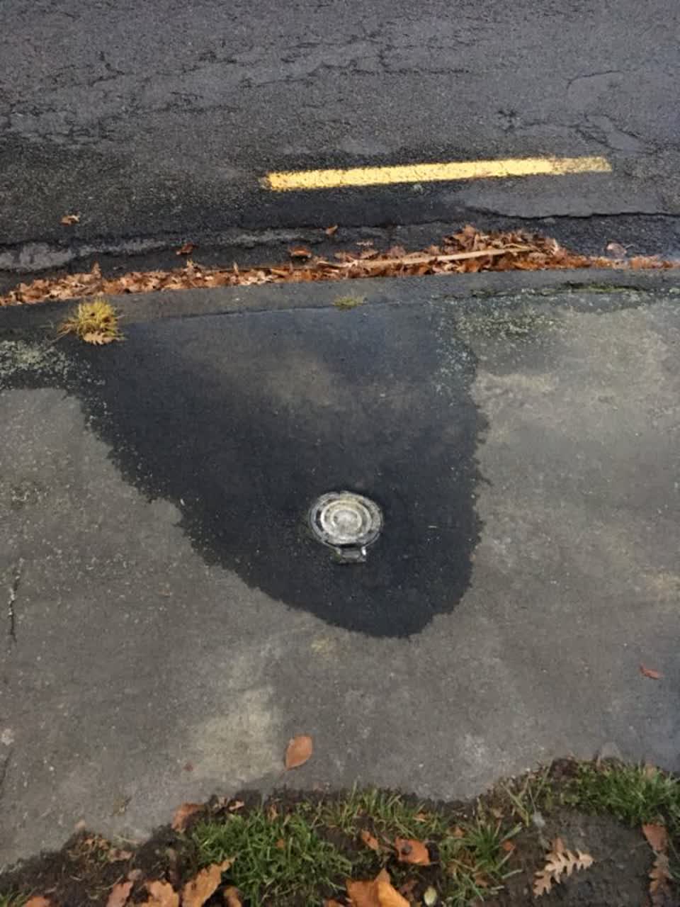 The photograph attached to this water supply report
